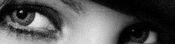 High